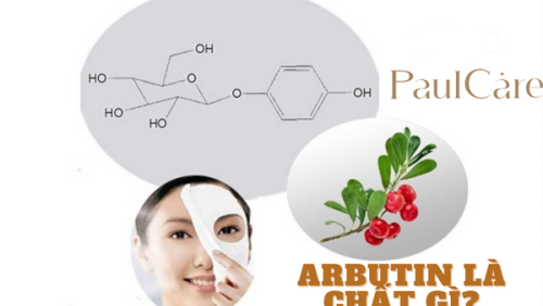 Arbutin kết hợp với gì, arbutin có tác dụng gì ?